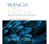 David King Wings Like Eagles Vol 1 Paperback Book David King Multicolor