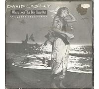 David Lasley - Where Does That Boy Hang Out