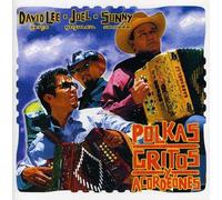 DAVID LEE GARZA/JOEL GUZMAN/SUNNY SAUCEDA - Polkas, Gritos, Y Acordeones