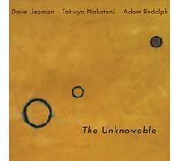 David Liebman - Unknowable - Vinyl Record - K600z