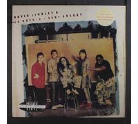 David Lindley And El Rayo-X - very greasy LP