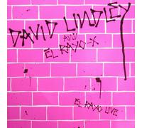 DAVID LINDLEY - El Rayo live (1983) [VINYL]