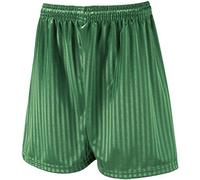 David Luke School Uniform Shadow Stripe Long Leg Boys Shorts Emerald 28-30"