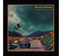 David Luximon - A Certain Frame of Reference [VINYL]