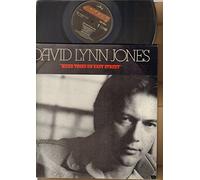 DAVID LYNN JONES - DAVID LYNN JONES - HARD TIMES ON EASY STREET - LP vinyl