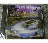 David Miller - America Shaking