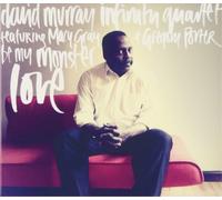 David Murray - Be My Monster Love