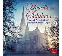 David Newsholme/Salisbury C - Howells From Salisbury