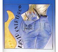 David Overthrow - In the Pocket