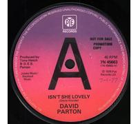 David Parton - Isnt She Lovely - David Parton 7" 45