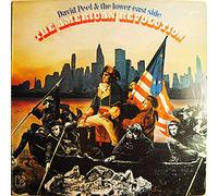 DAVID PEEL - the american revolution LP [VINYL]