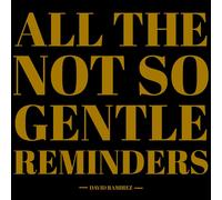 David Ramirez - All The Not So Gentle Reminders [VINYL]