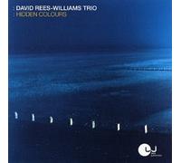 David Rees-Williams Trio - Hidden Colours