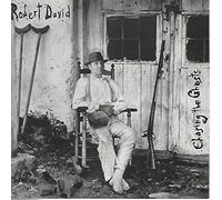 David Robert - Chasing the Ghosts