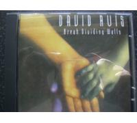 DAVID RUIS - BREAK DIVIDING WALLS