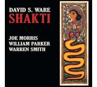David S. Ware, Joe Morris, William Parker & Warren Smith - Shakti