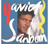 David Sanborn - A CHANGE OF HEART LP (VINYL ALBUM) GERMAN WARNER BROS 1987