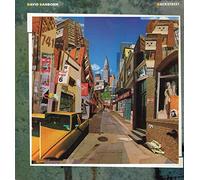 DAVID SANBORN - Backstreet (1983) [VINYL]