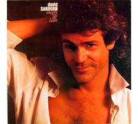 David Sanborn - Straight To The Heart