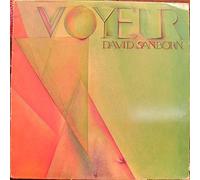 David Sanborn - Voyeur