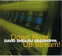 David Shea & DJ Grazhoppa - Down River Up Stream