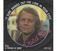 David Soul - It Sure Brings Out The Love In Your Eyes