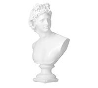 David Statue Decor, Greek Statue of David Head Bust Statue Resin Sculptures Home Decor Figurine for Shelf Coffee Table Decor (White)