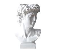 David Statue Flower Vase, Resin Bust Statue Figurine, Greek Mythology Figurine Head, Roman Style Sculpture Planter, Makeup Brushes Container, Desk Storage Decoration for Table Home Decor