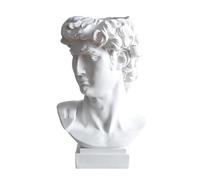 David Statue Flower Vase, Roman Style Statue Planter Makeup Resin David Bust Decorative Sculpture Vase Flower Pot Greek Vase Living Room Decoration