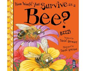 David Stewart How Would You Survive As A Bee? Paperback Book David Stewart Multicolor