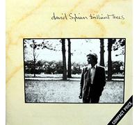 David Sylvian - BRILLIANT TREES by David Sylvian (1984-10-21)