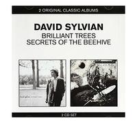 David Sylvian - Brilliant Trees / Secrets Of The Beehive