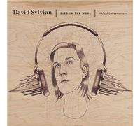 David Sylvian - Died In The Wool