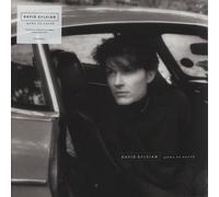 David Sylvian Gone To Earth - Corona White, Brown Opaque Black Vinyl - Sealed UK 2-LP Double vinyl album record INTGDS00038LP Virgin 2025