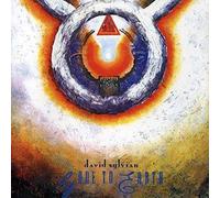 David Sylvian Gone To Earth Double CD CDVDLR1 NEW