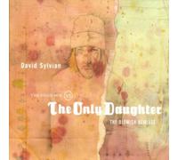 David Sylvian - The Good Son vs The Only Daughter (The Blemish Remixes) [VINYL]