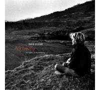 David Sylvian & Jon Hassell - Alchemy: An Index Of Possibilities (Corona Gold Opaque Red Vinyl) [VINYL]