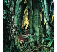 David Sylvian - Manafon - 180g 2xLP Vinyl - UMC (2022)