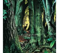 David Sylvian - Manafon - 180g 2xLP Vinyl - UMC (2022)