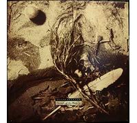 DAVID SYLVIAN - Secrets of the beehive (1987) [VINYL]