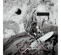 David Sylvian - Secrets Of The Beehive [VINYL]