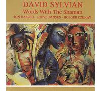 David Sylvian Words With The Shaman 1985 UK 3" CD single CDT23