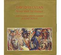 DAVID SYLVIAN - Words With The Shamen