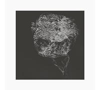 David Toop - Entities Inertias Faint Beings [VINYL]