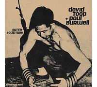 David Toop + Paul Burwell - Suttle Sculpture [VINYL]