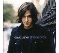 DAVID USHER - Strange Birds