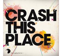 David Vallier - Crash This Place