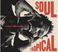 David Walters - Soul Tropical