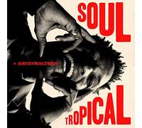 David Walters - Soul Tropical [VINYL]