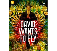 David Wants To Fly